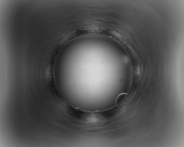 X0000089450663200706151432