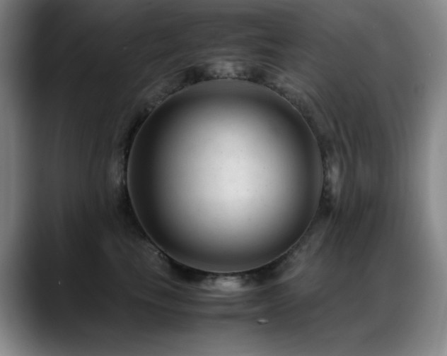 X0000089450665200706151432