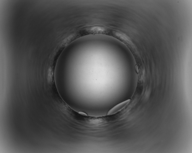 X0000089450669200706151433