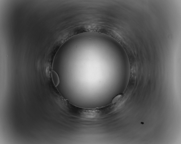 X0000089450671200706151433