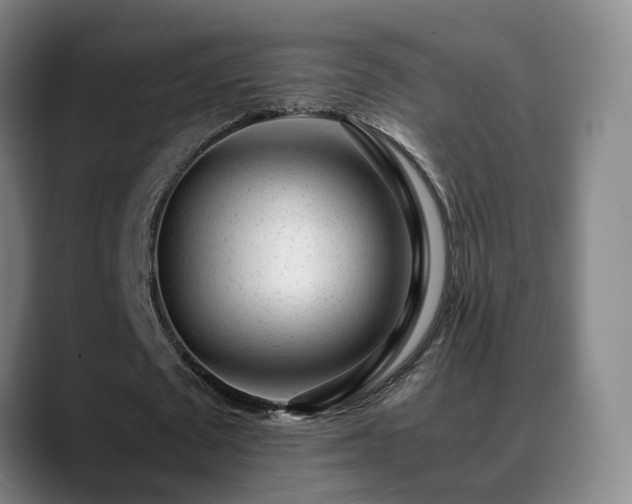 X0000089450673200706151432