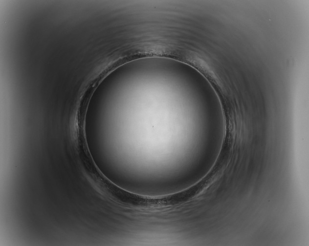 X0000089450674200706151432