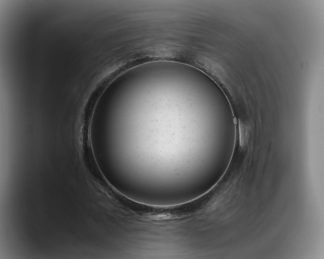 X0000089450675200706151432