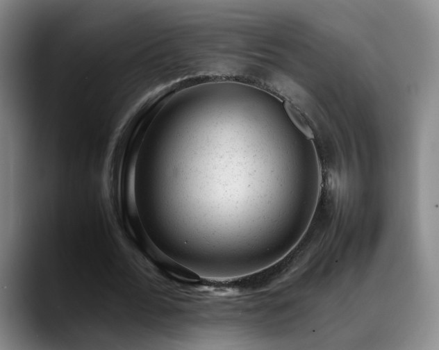 X0000089450676200706151432