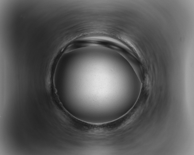 X0000089450677200706151432