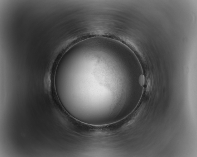 X0000089450678200706151432