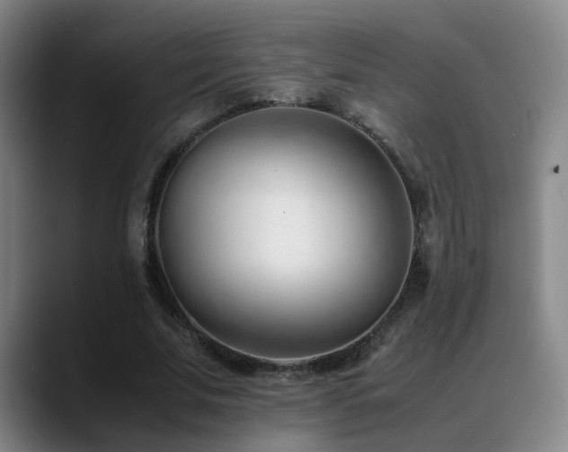 X0000089450679200706151432