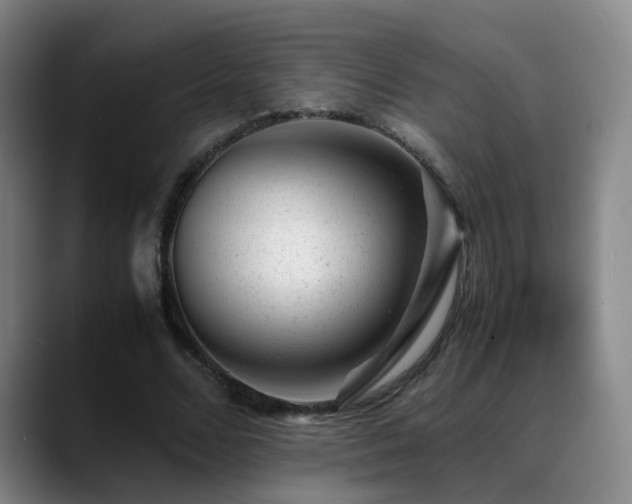 X0000089450680200706151432