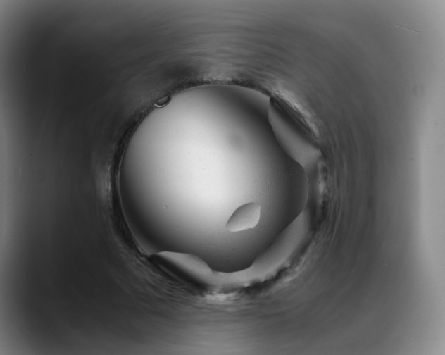 X0000089450681200706151432