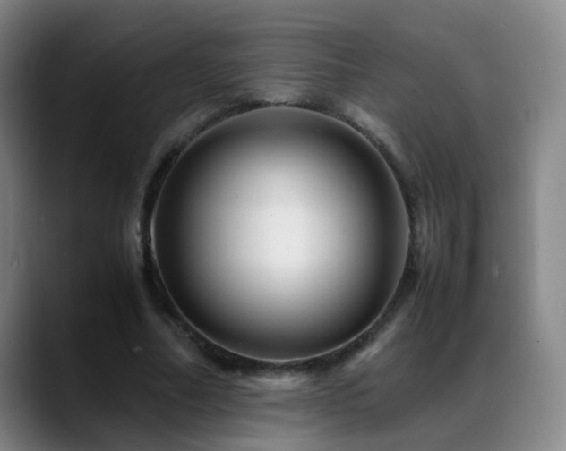 X0000089450682200706151432