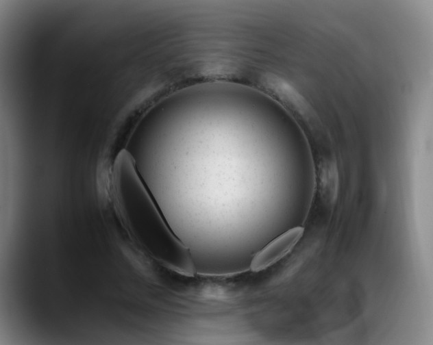 X0000089450684200706151432