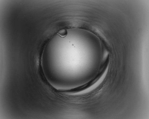 X0000089450685200706151432