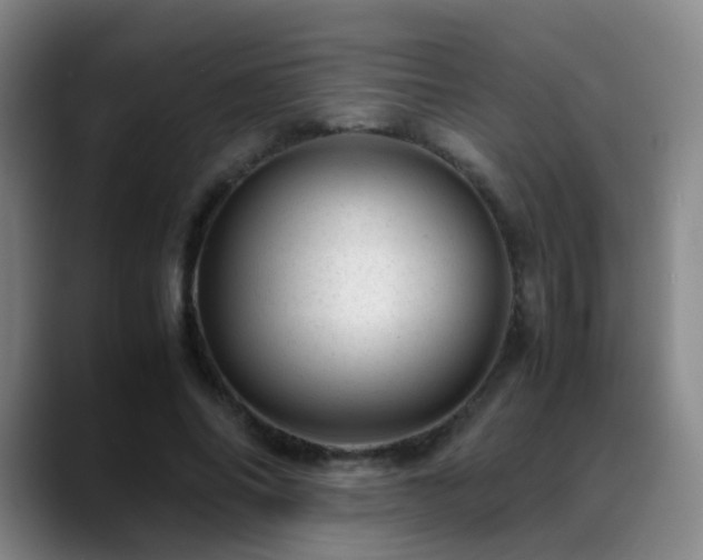 X0000089450686200706151432