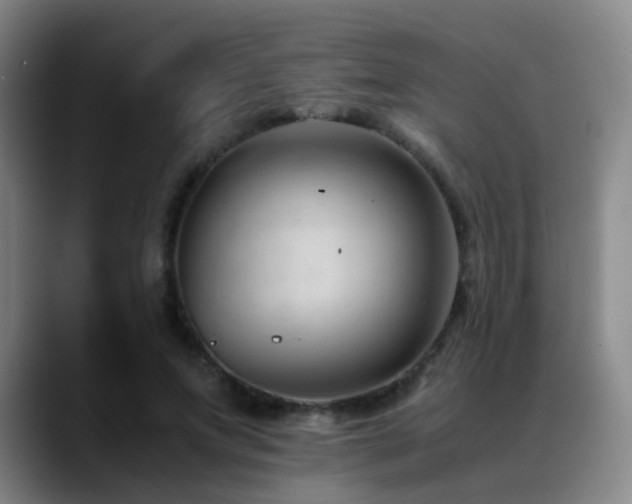 X0000089450687200706151432