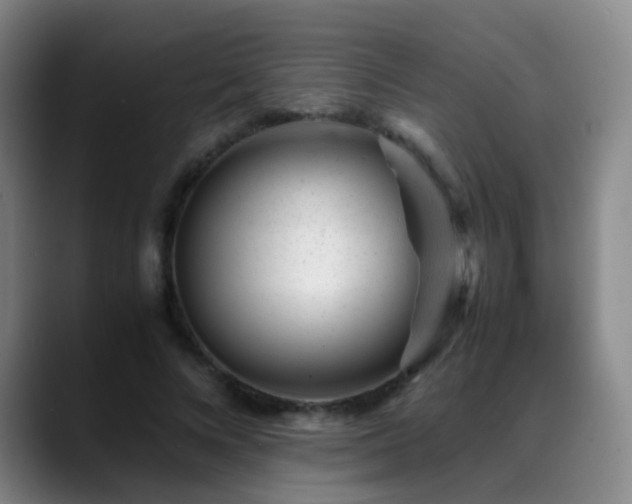 X0000089450688200706151432