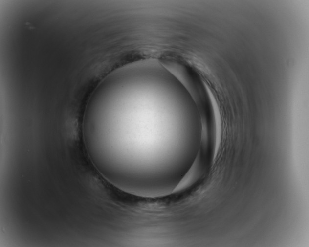 X0000089450689200706151432