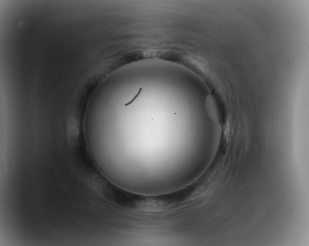 X0000089450691200706151432