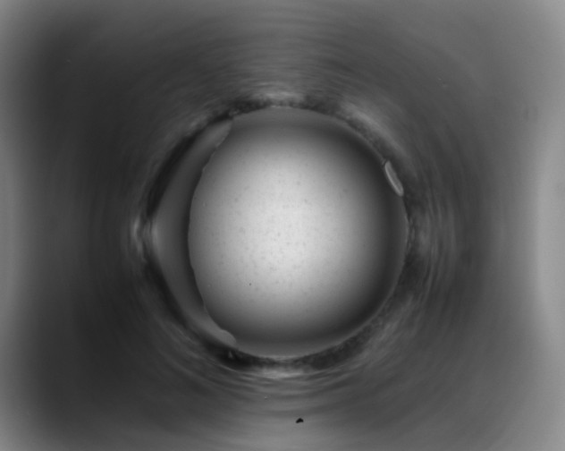 X0000089450692200706151432