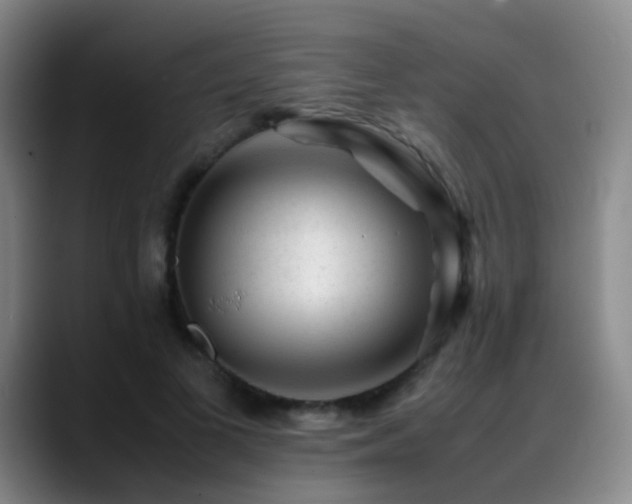 X0000089450693200706151432