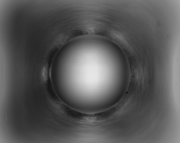 X0000089450694200706151432