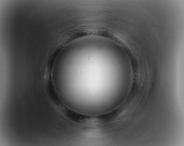 X0000089450695200706151432