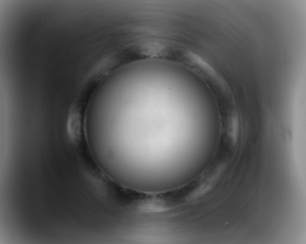X0000089450696200706151432