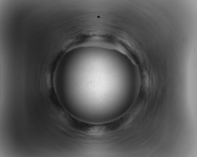 X0000089450700200706151432