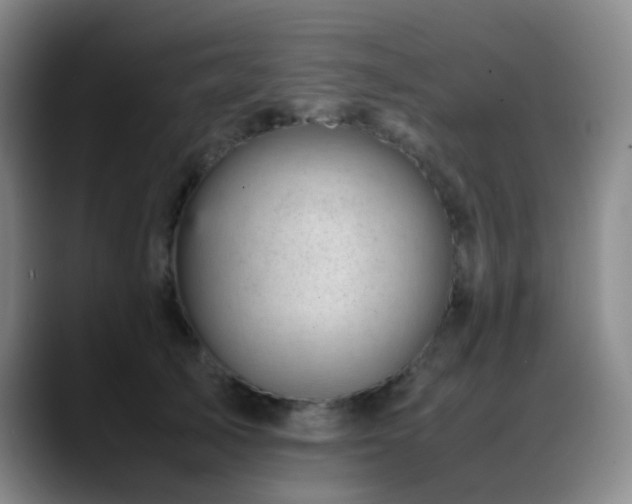 X0000089450705200706151432