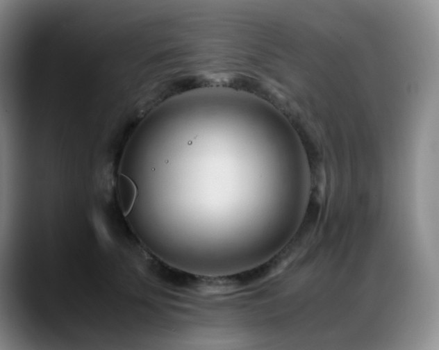 X0000089450707200706151432