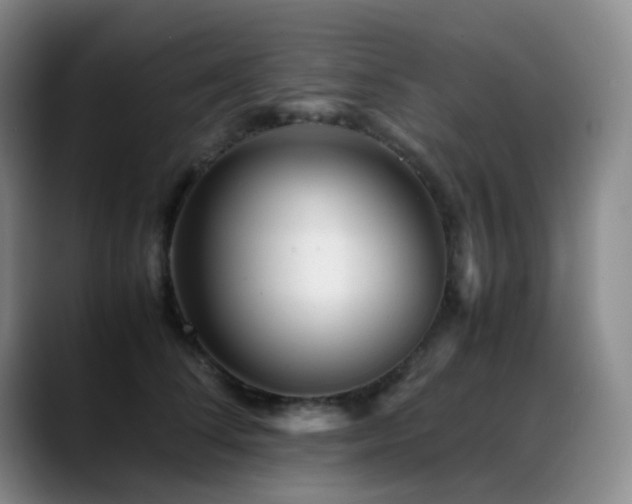 X0000089450708200706151432