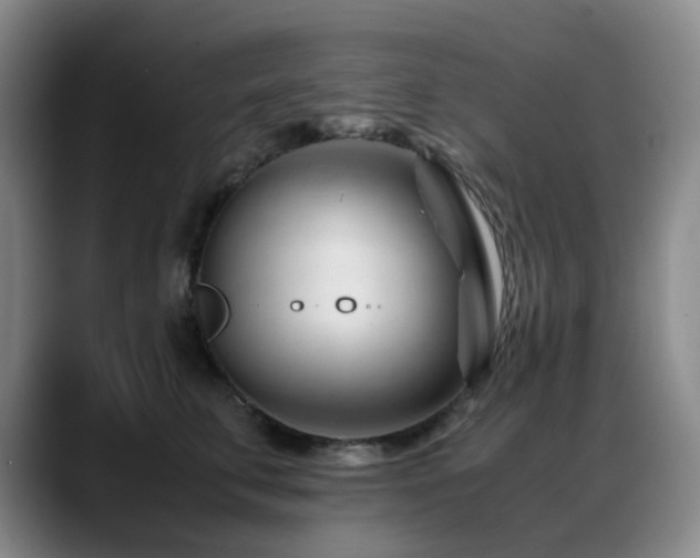 X0000089450711200706151432