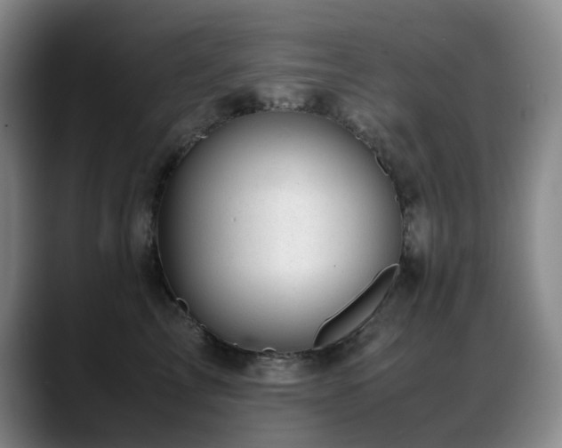 X0000089450713200706151432
