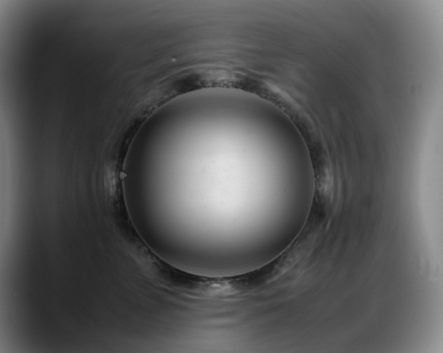 X0000089450715200706151432