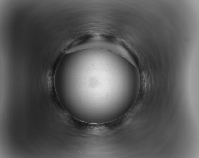 X0000089450716200706151431