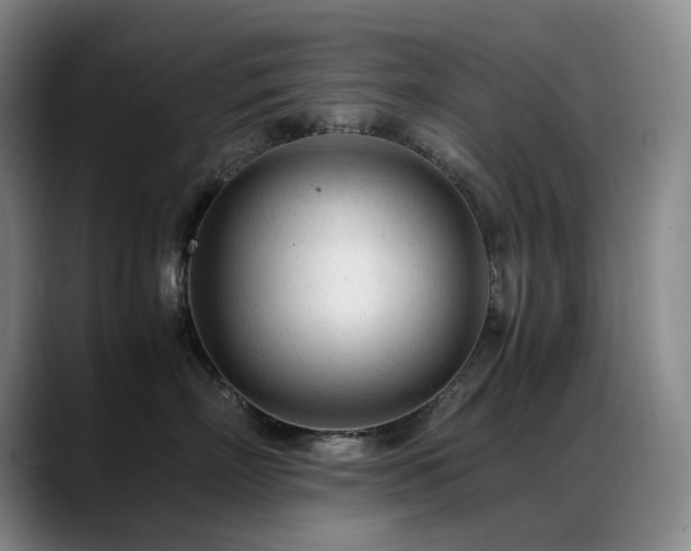 X0000089450718200706151431