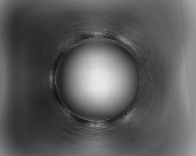 X0000089450720200706151431
