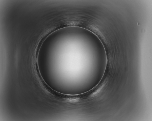 X0000089450721200706151431