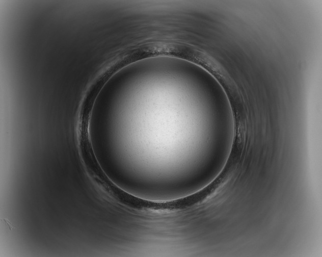 X0000089450722200706151431
