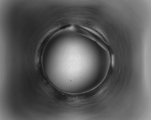 X0000089450723200706151431