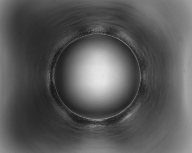 X0000089450725200706151431