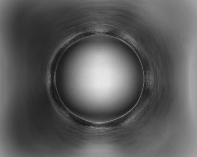 X0000089450726200706151431