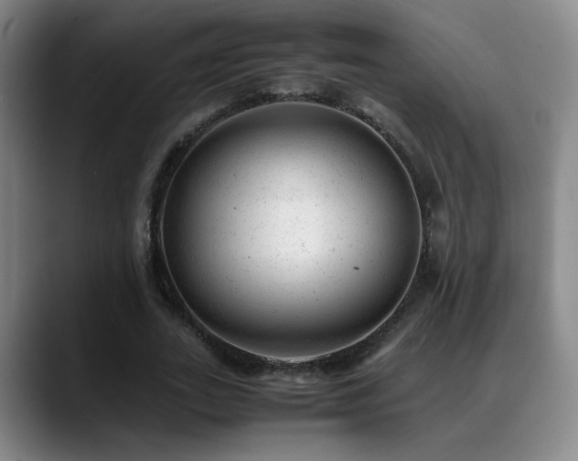 X0000089450727200706151431