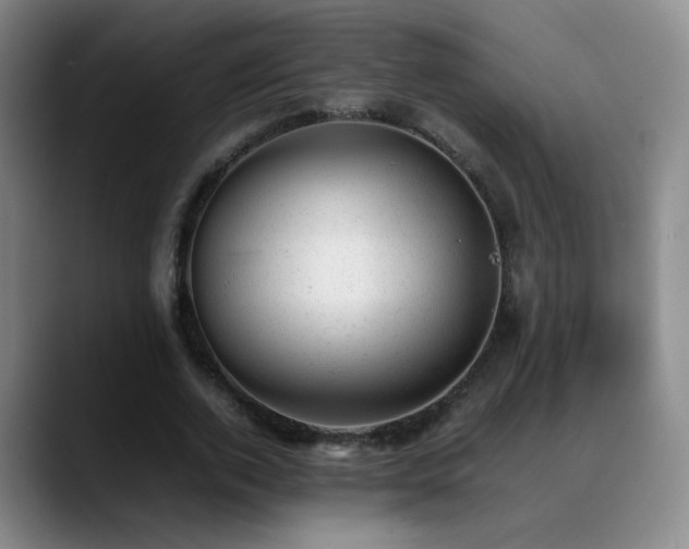 X0000089450728200706151431