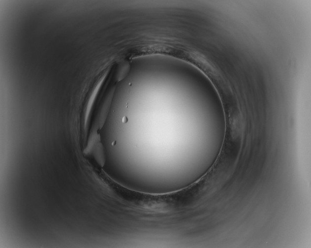 X0000089450729200706151431