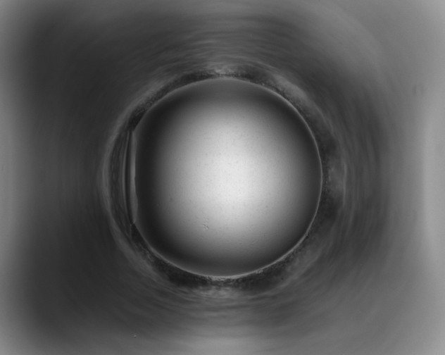 X0000089450730200706151431
