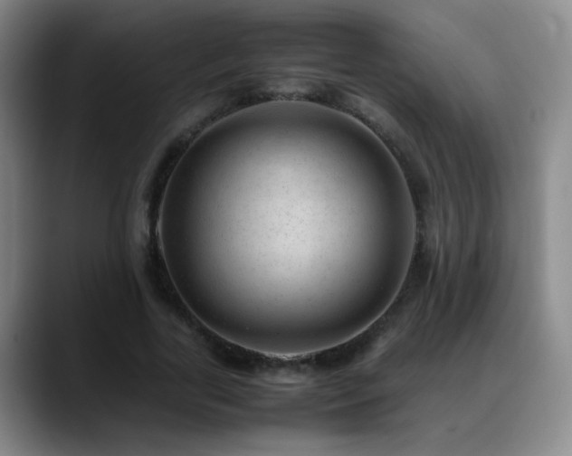X0000089450731200706151431