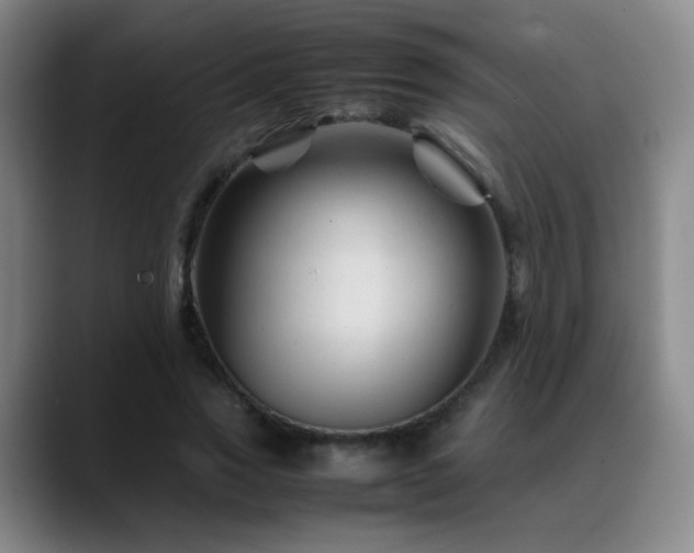 X0000089450733200706151431