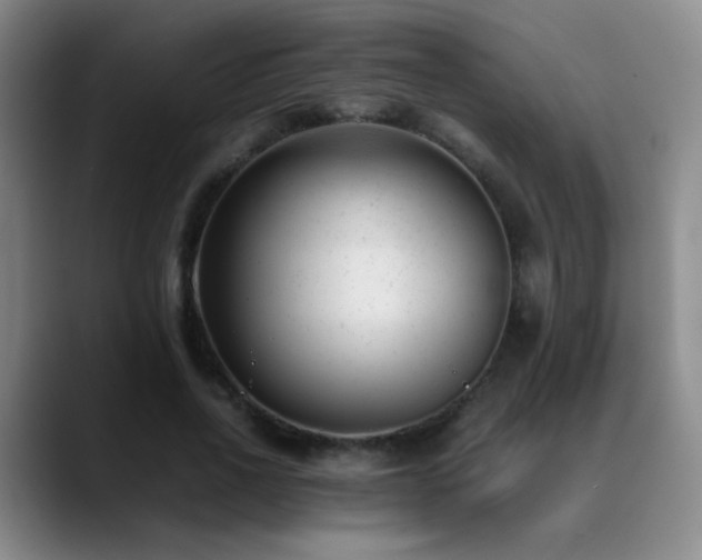 X0000089450734200706151431