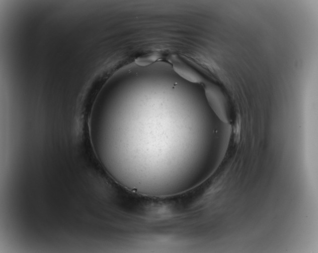 X0000089450735200706151431