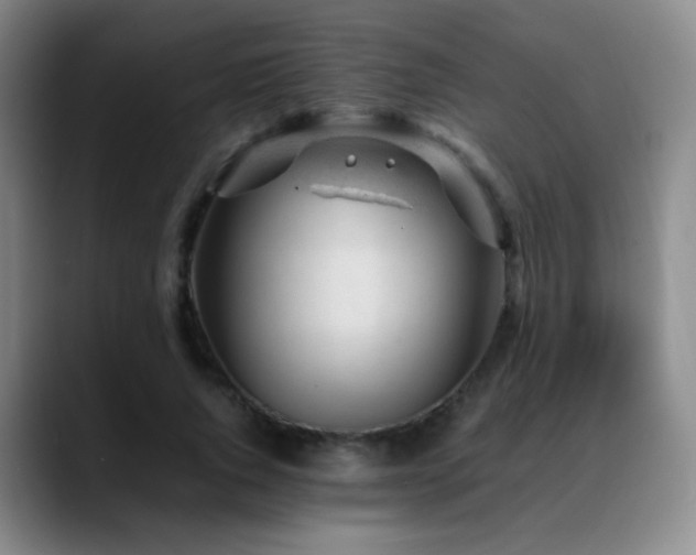 X0000089450736200706151431